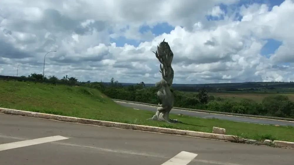 Contabilidade em Sobradinho DF